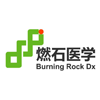BURNING ROCK BIOTECH LTD-ADR_BNR